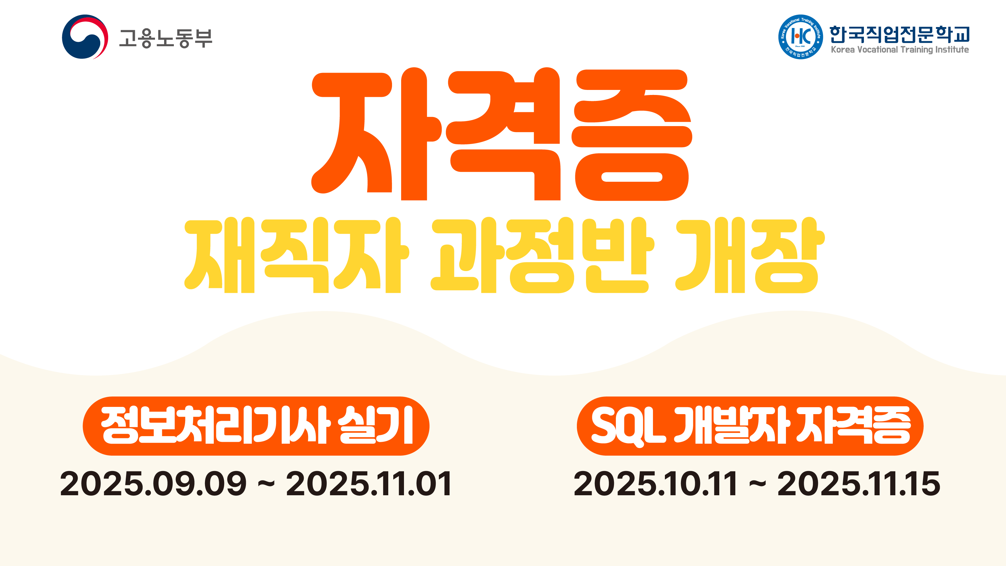 정보처리(산업)기사 실기, SQLD 자격증 취득 과정